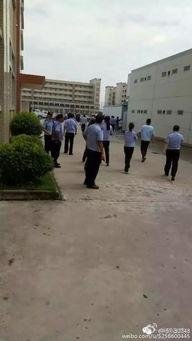 鹰潭虎岭村长爆料视频,揭秘乡村发展背后故事 第1张 鹰潭虎岭村长爆料视频,揭秘乡村发展背后故事 第1张